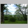 DSC00280.JPG