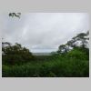 DSC00184.JPG