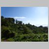 DSC05131.JPG