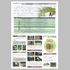 panf2.pdf