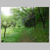 DSCN1020.JPG