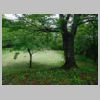 DSCN1027.JPG