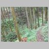 DSCN1128.JPG