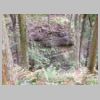 DSCN1130.JPG