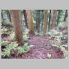 DSCN1159.JPG
