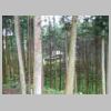 DSCN1170.JPG