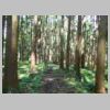 DSCN8693.JPG