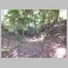 DSCN8705.JPG
