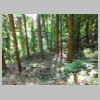 DSCN8718.JPG