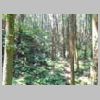 DSCN8722.JPG
