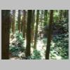 DSCN8723.JPG