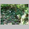 DSCN8728.JPG