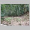 DSC04543.JPG