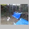 DSC03951.JPG