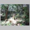 DSC01676.JPG
