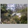 DSCN9686.JPG