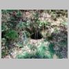 DSCN9687.JPG