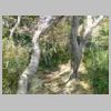 DSCN0460.JPG