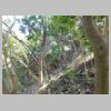 DSCN0467.JPG
