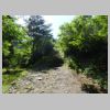 DSC04891.JPG