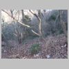 DSC03550.JPG