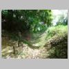 DSCN0595.JPG