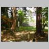DSCN0610.JPG