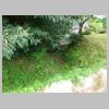 DSC01934.JPG