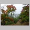 DSC01900.JPG