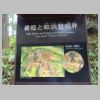 DSC01772.JPG