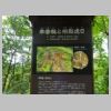 DSC01781.JPG