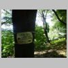 DSC00897.JPG