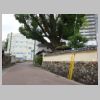 DSC01656.JPG