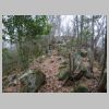 DSC03422.JPG