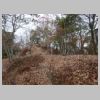 DSC03433.JPG