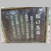 DSC03464.JPG