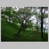 DSC01358.JPG