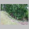 DSCN0918.JPG