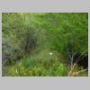 DSCN0925.JPG