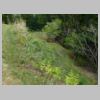DSCN0930.JPG