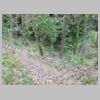 DSCN0939.JPG