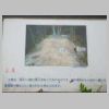 DSCN0942.JPG
