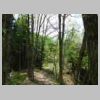 DSCN0950.JPG