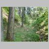 DSCN0959.JPG