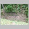 DSCN0963.JPG