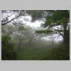 DSC00011.JPG