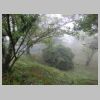 DSC00014.JPG