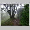 DSC00015.JPG