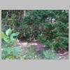 DSC02653.JPG