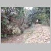 DSCN8725.JPG
